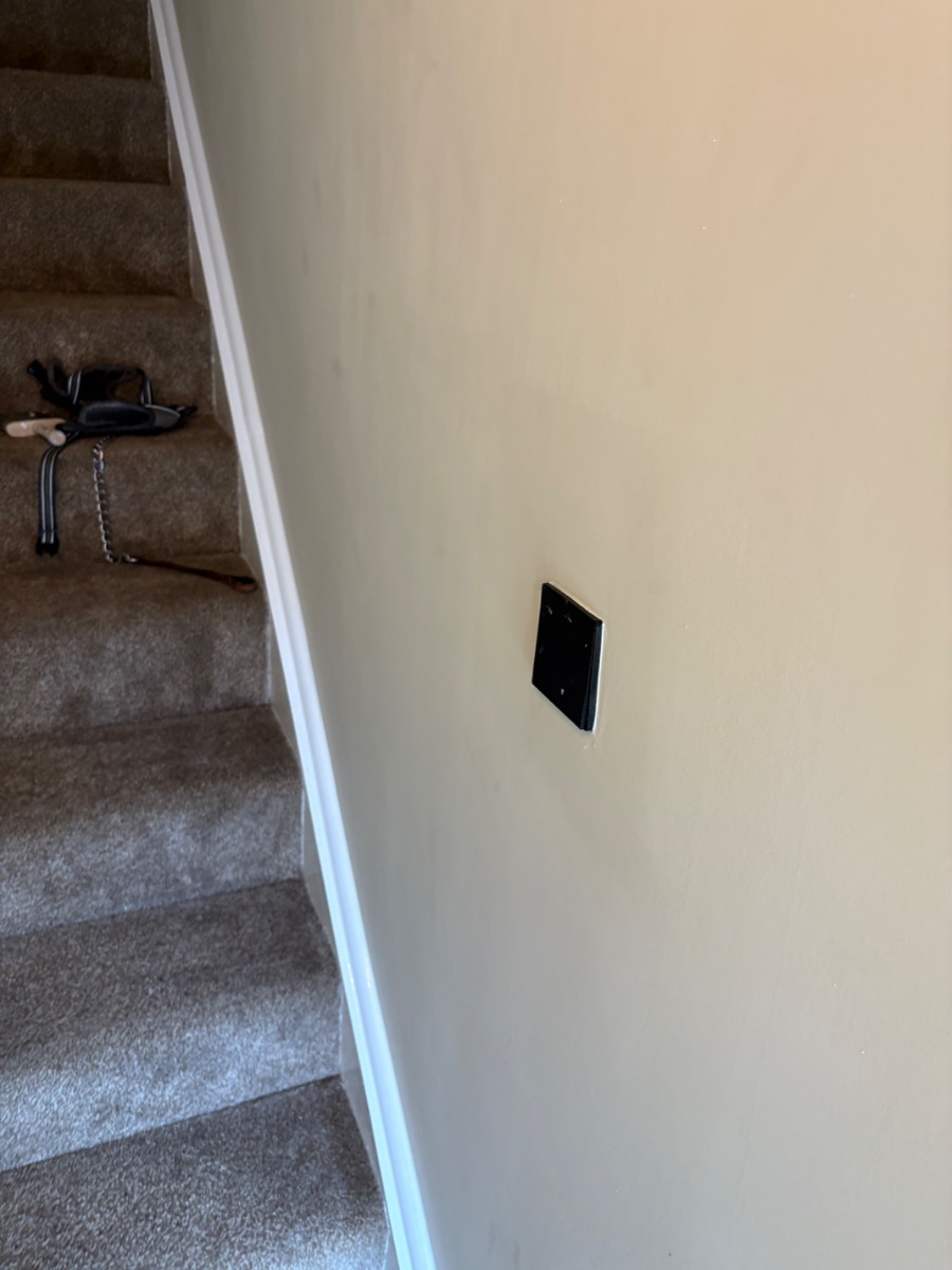 Painter and Decorator: Image 8